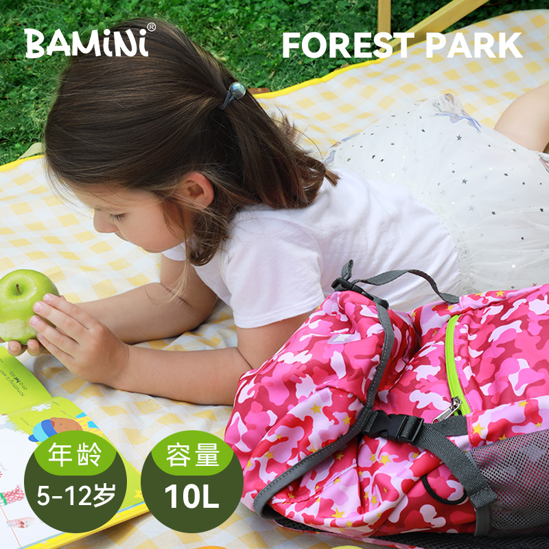 BAMiNi